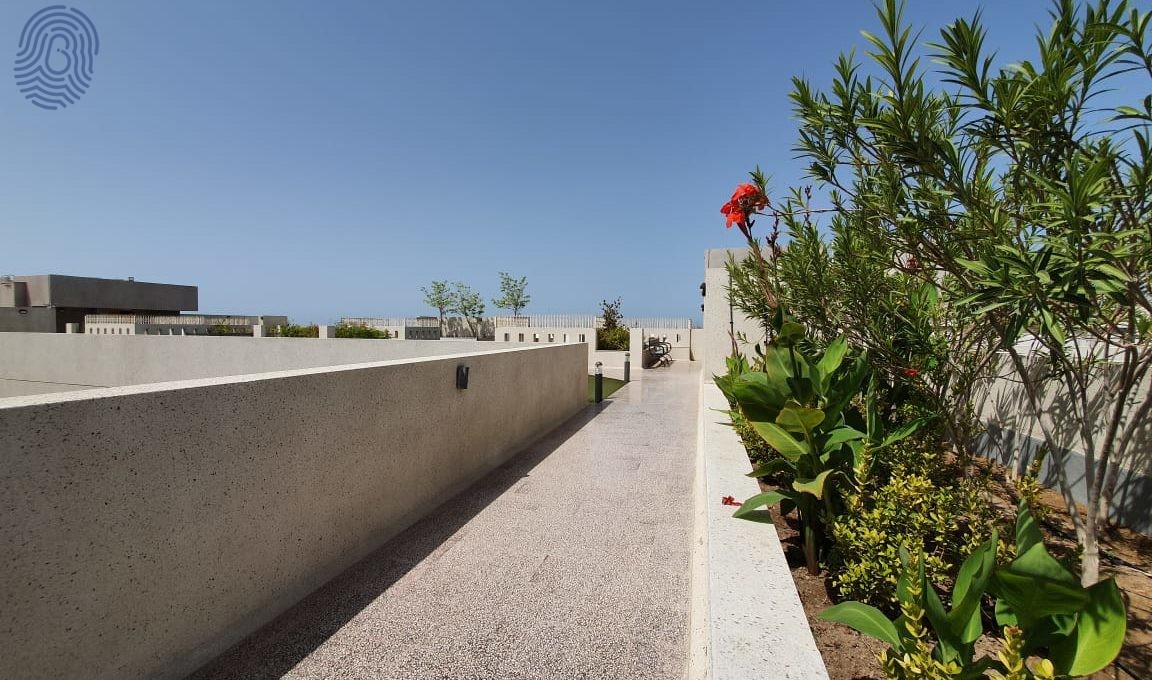 Rooftop Gardens