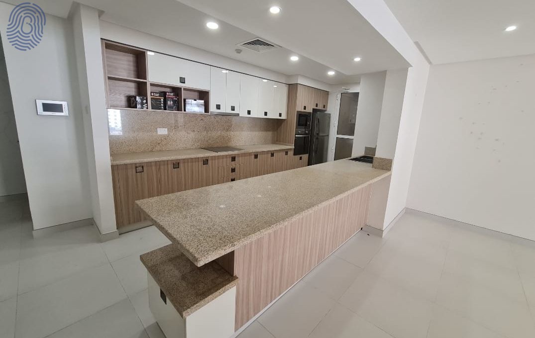 open kitchen - modern style